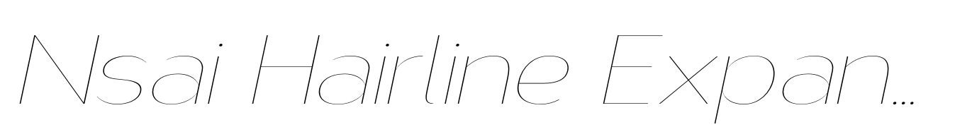 Nsai Hairline Expanded Italic
